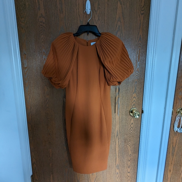 Calvin Klein NWT Dress Size 4 - Picture 3 of 3